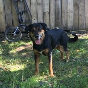 Meet your Posher, Kyle